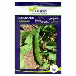 Graines semis Fakkous Mornagui فقوس مرناقي