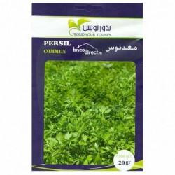 Graines semis Persil Commun معدنوس