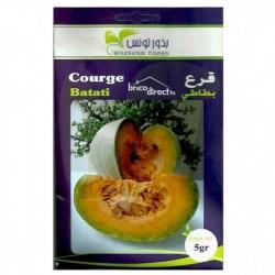 Graines semis Courges Batati قرع بطاطي