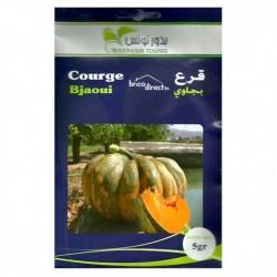 Graines semis Courges Bjaoui قرع بجاوي