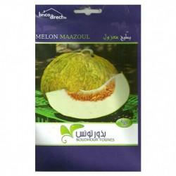 Graines semis Melon Maazoul بطيخ معزول