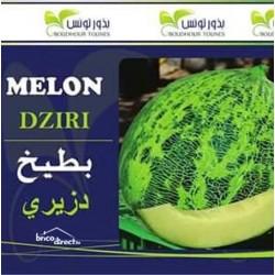 Graines semis Melon Dziri بطيخ دزيري