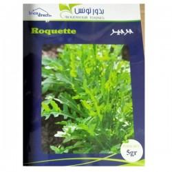 Graines semis Roquette جرجير