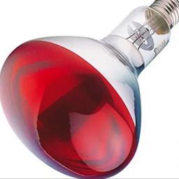 infrarouge Lampe Infrarouge Rouge 250W R125 –