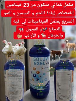SOLUVIT EXEL PLUS