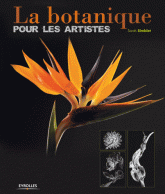 botanique pour les artistes