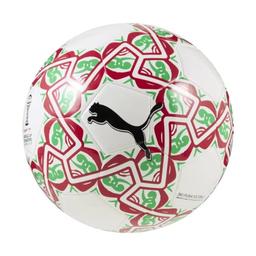 Puma Ballon de football bita 6 AFCON -Multicole