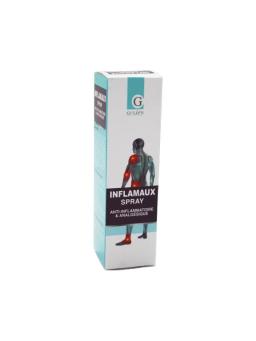 Galien Anti-Inflamatoire Analgesique Spray