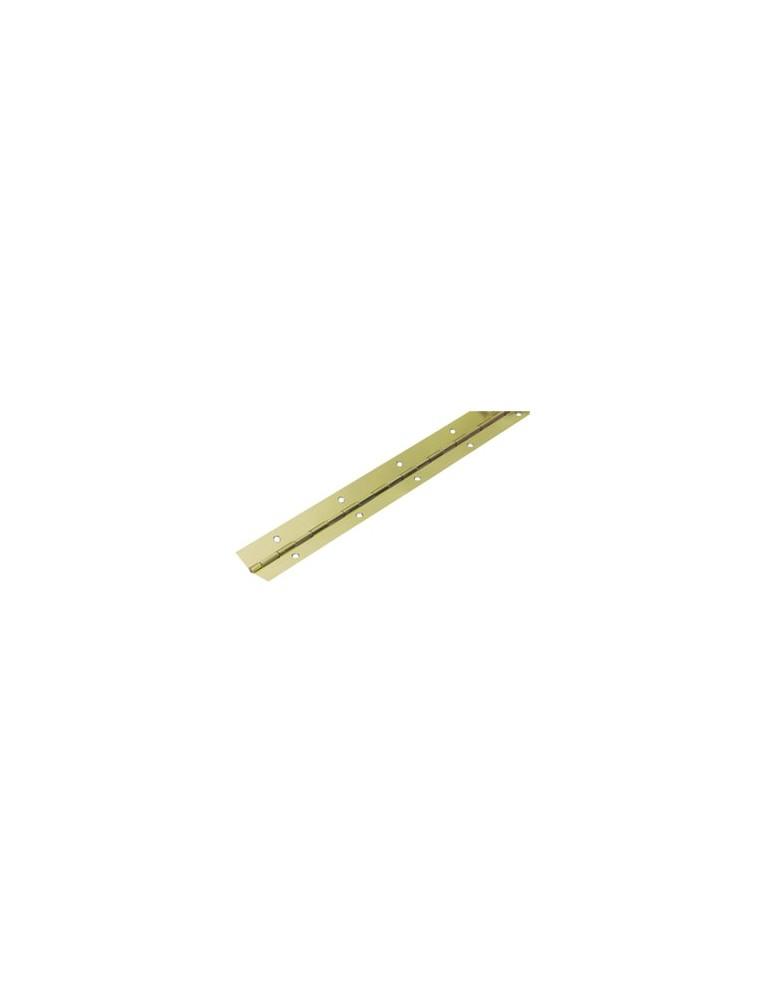 CHARNIERE FIXE 25X 2 METRES LAITON