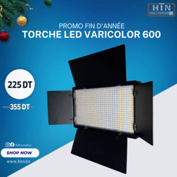 TORCHE LED VARICOLOR 600