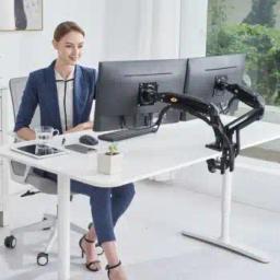 North Bayou F160 Double Support de Moniteur 17