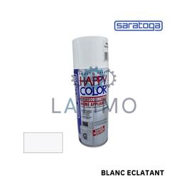 SARATOGA Peinture eclatant electromenagers RAL001