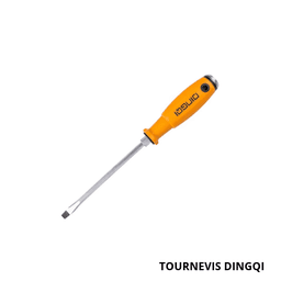 DINGQI Tournevis ART68004