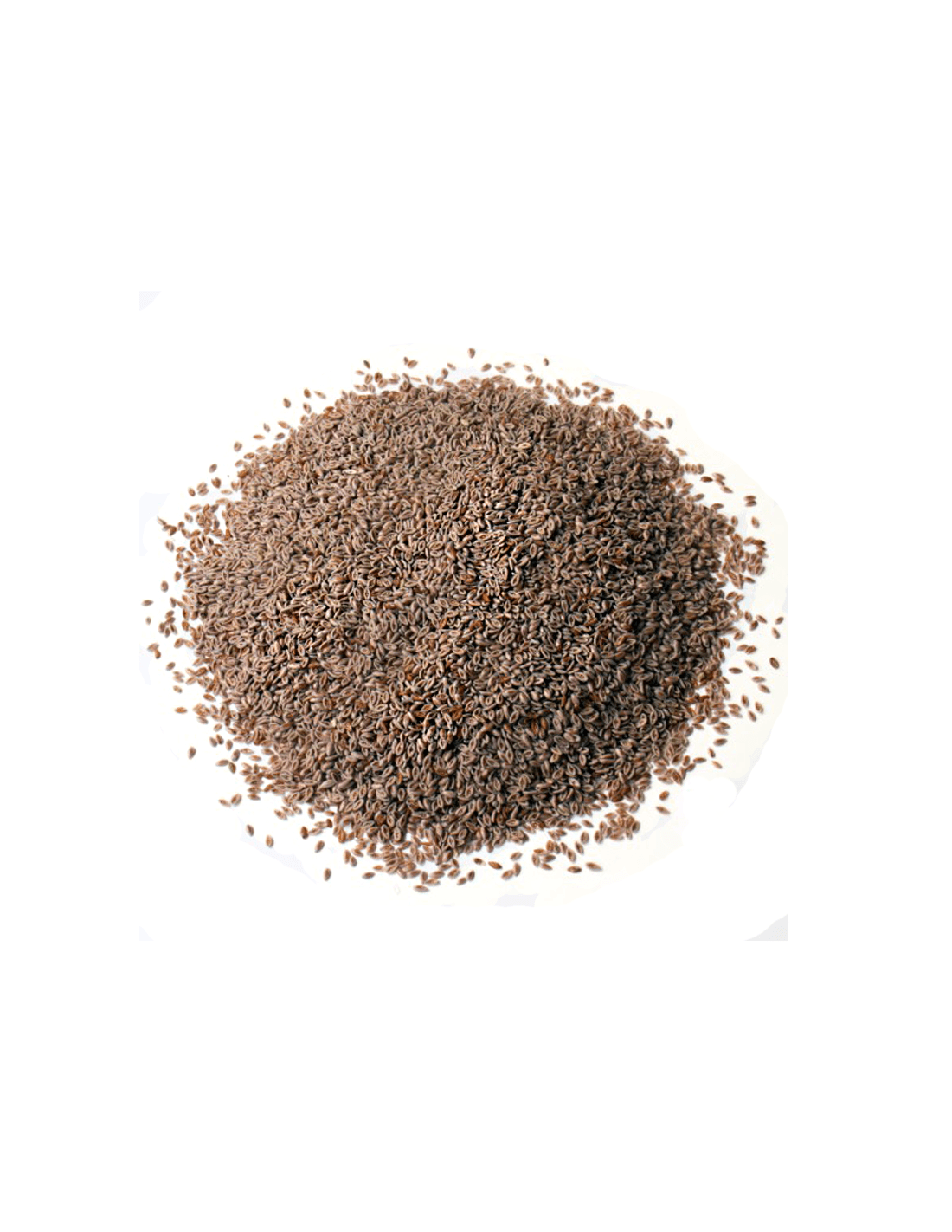 Graines de Psyllium 100g