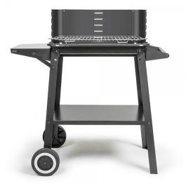 Charbon Barbecue LIVOO DOC328