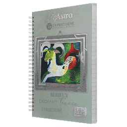 WIRO YAMAMA HOROSCOPE Capricorne Séyès 300 Pages