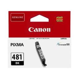Canon Cartouche Jet d'encre PGI-480N