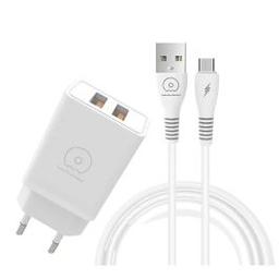 WUW Chargeur T55 3.1A Micro