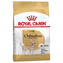 Croquettes Pour Chien ROYAL CANIN Chihuahua Adulte 500g