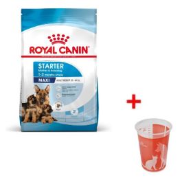 Croquettes Royal Canin Maxi Starter Mother & Babydog 4 kg