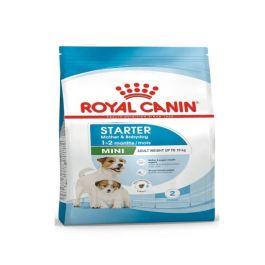 Croquettes Royal Canin Mini Starter Mère & Chiot 1 kg