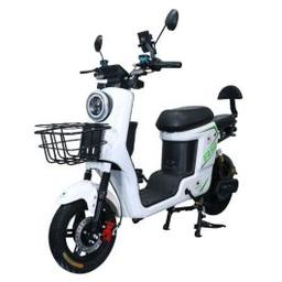 Scooter électrique Powtech 800 Watts