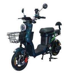 Scooter électrique Powtech 800 Watts