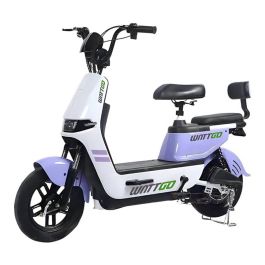 Scooter Électrique Wattgo WG009 500W