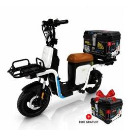 Scooter Electrique M2 RIDE Legend