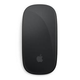 Microsoft Souris Magic APPLE Multi-Touch