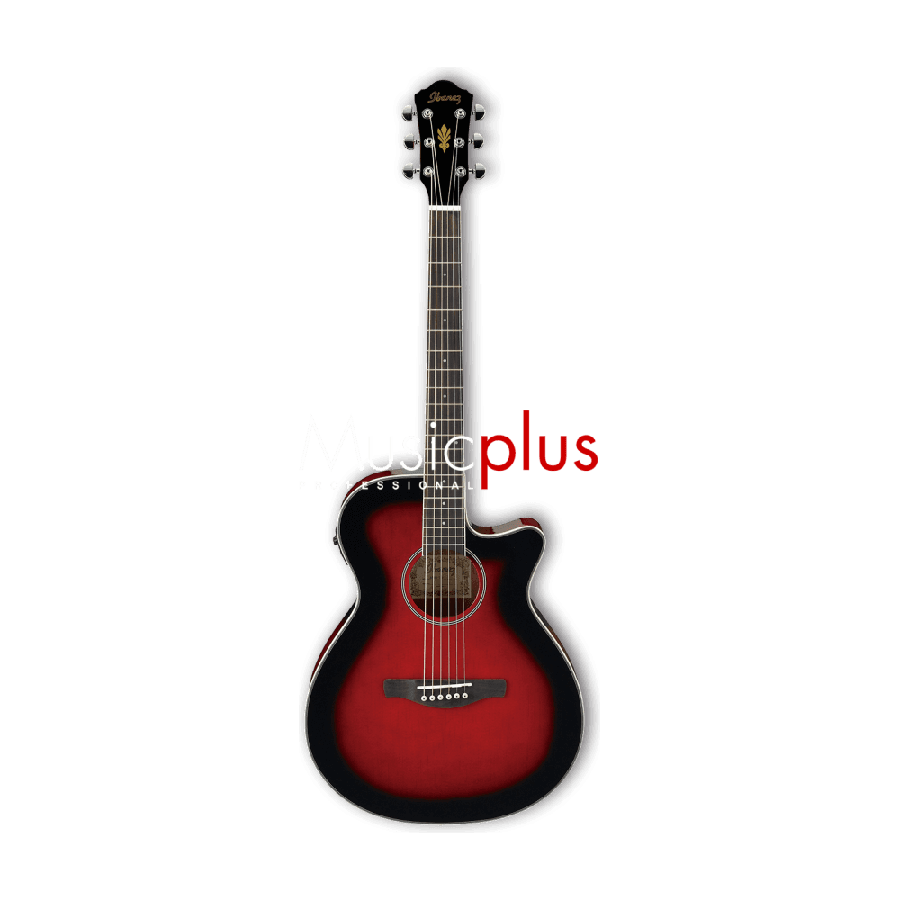 Ibanez AEG8E-TRS, Guitare électro-acoustique AEG Series