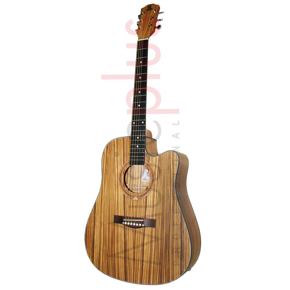Tanit P100-CE NT, Guitare Electro-Acoustique 4 4 Player