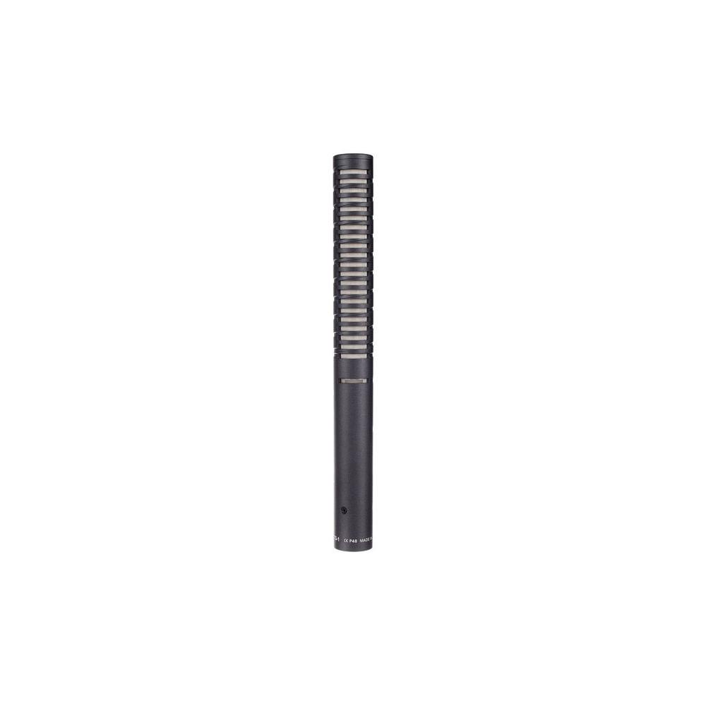 Canon Rode NTG1, Microphone