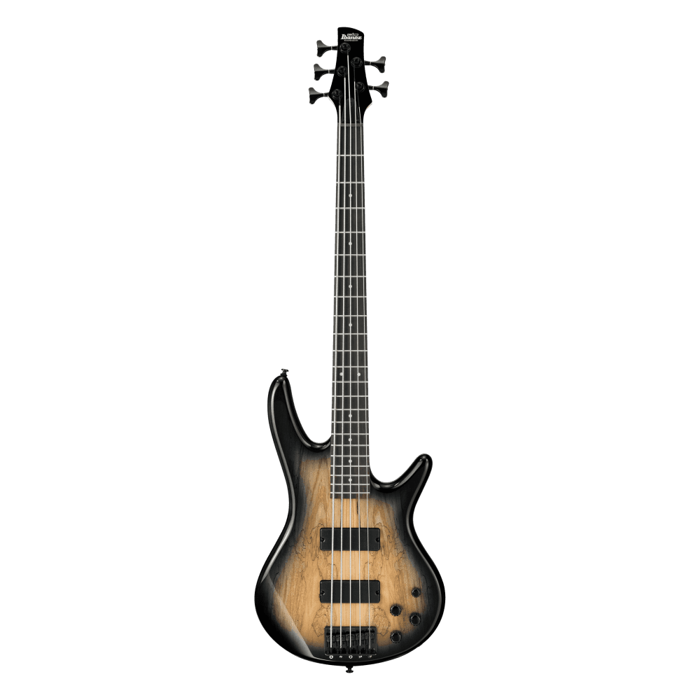 Ibanez GSR205SM, Natural Burst, 5 cordes