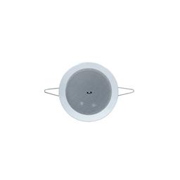 ITC T-104GK, Haut-parleur étanche de plafond passive, De