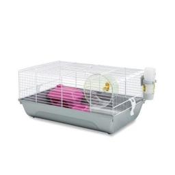 Cage Hamsters