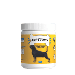 Protéine +