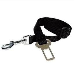Securite Pour Voiture