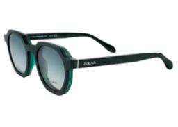 Polar 513