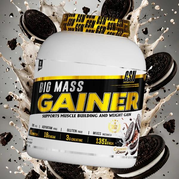 BIG MASS GAINER 3KG GSN