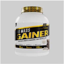 BIG MASS GAINER GSN 3KG