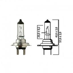 Flosser Ampoule