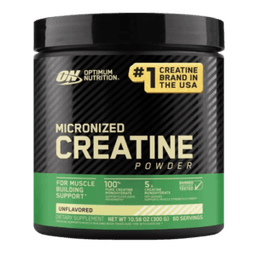 Optimum Nutrition Micronized Creatine