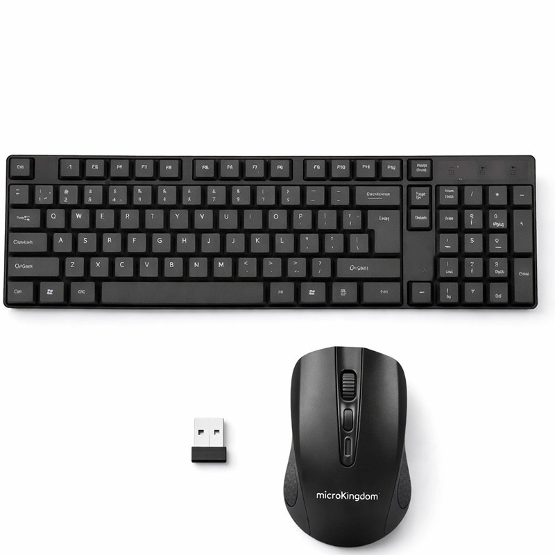 MicroKingdom & Souris Sans Fil MicroKingdom MK-1625