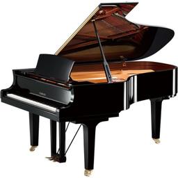 PIANO RITMULLER GP148R VERNI