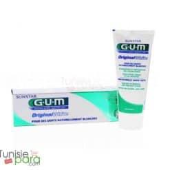 Gum dentifrice
