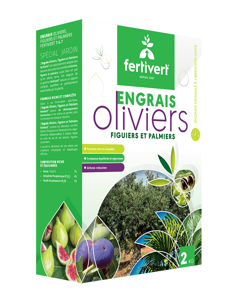 Fertivert Olivier Figuier Palmier