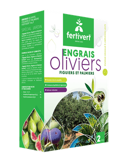 Fertivert Olivier Figuier Palmier