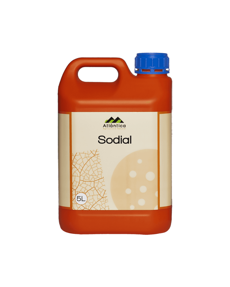 Atlantica Agricola SODIAL