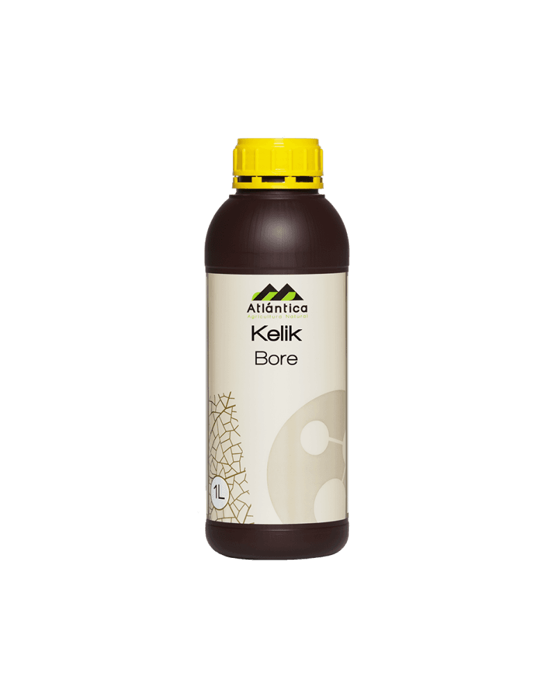 Atlantica Agricola Kelik Bore